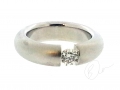 pt spannring